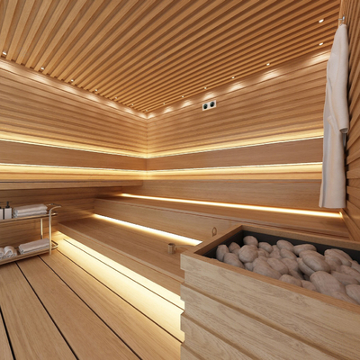 Modern Bath Sauna Room