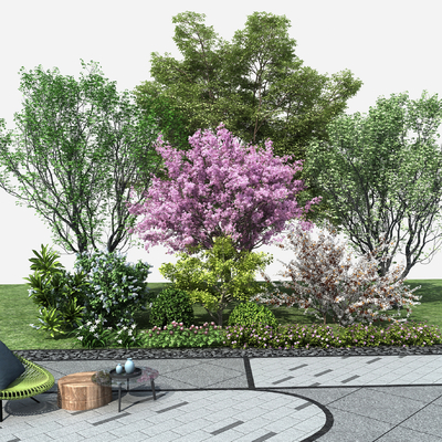 Cherry Blossom Tree Green Belt Gardening Sick