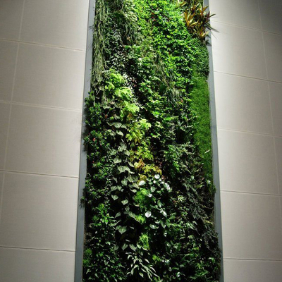 Plant wall