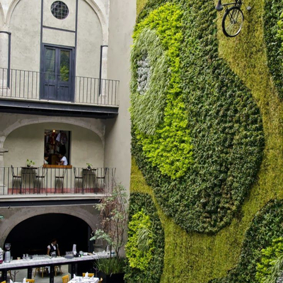 Plant wall