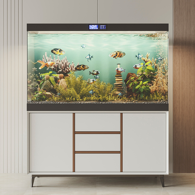 Fish tank aquarium