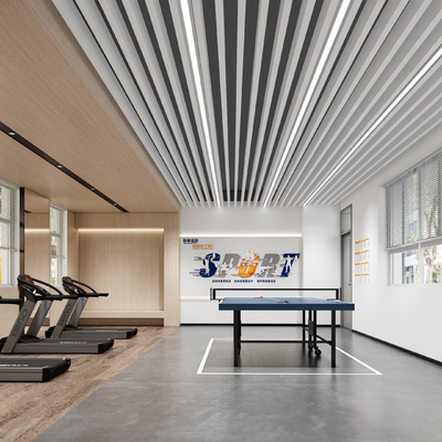 modern gym table tennis room