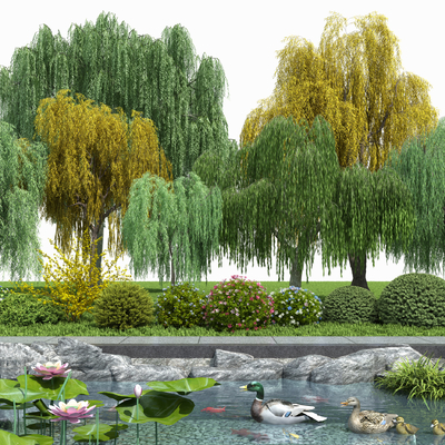 Willow weeping willow landscape tree