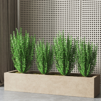 Modern Green Plant Potted Plant