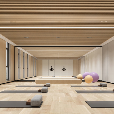 Modern Yoga Studio