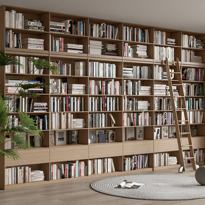 Modern Bookcase Books