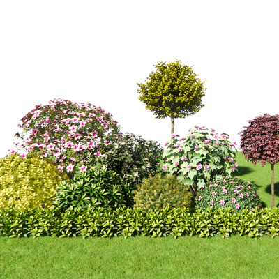 Landscape shrubs