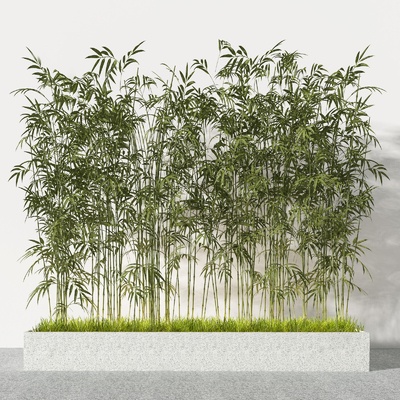 modern bamboo flower bed