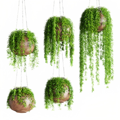 Fujimoto hanging basket