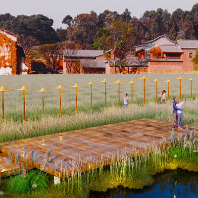 Modern paddy landscape