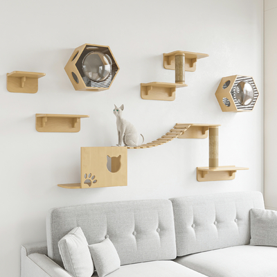 Modern Wall Cat Climbing Rack