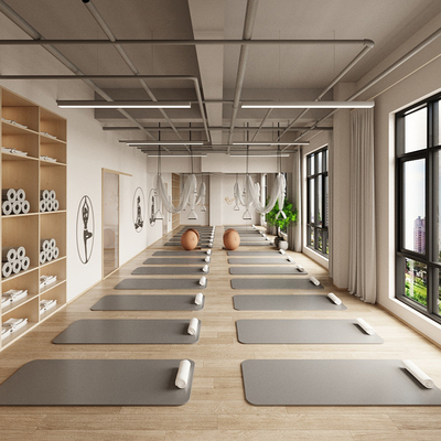 Modern Yoga Gym