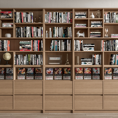 Modern Bookcase Books