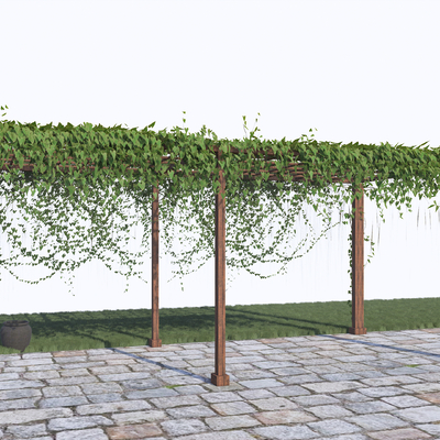 Parthenocissus Vine Climbing Vine Flower Rack