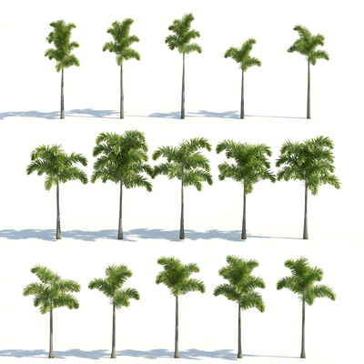 Modern tropical palm trees