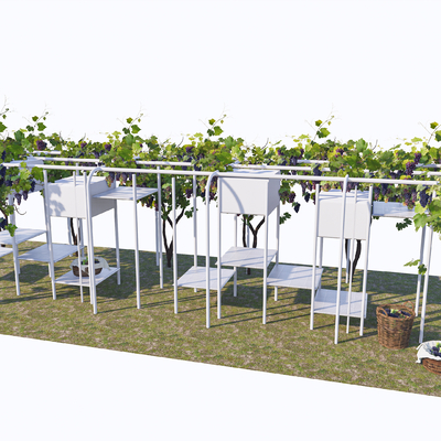 Modern Grape Picking Rack Flower Rack