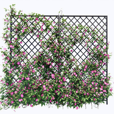 Vine flower vine iron net plant wall