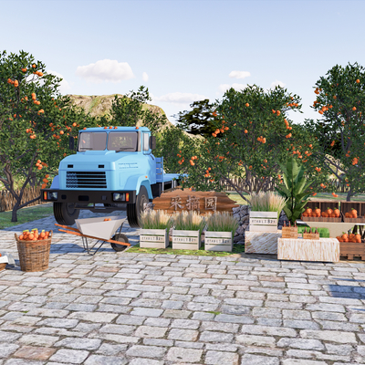 New Chinese Orange Picking Garden