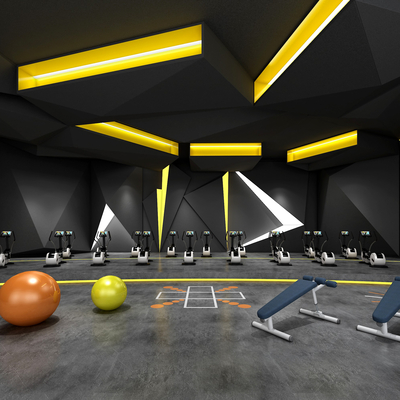 Modern Gym