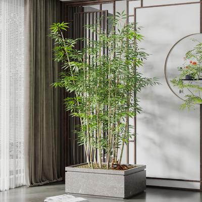 Modern bamboo potted plant