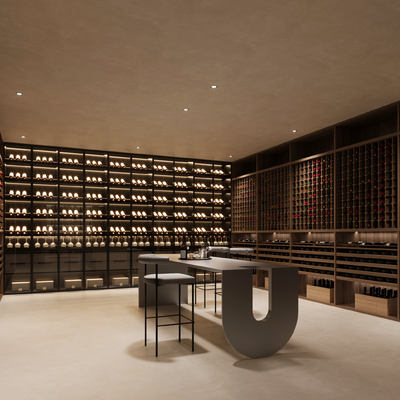 Modern Wine Cellar