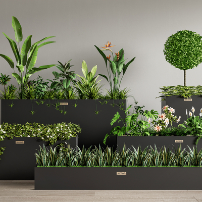 Outdoor green plant flower box