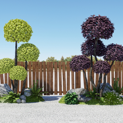 landscape tree arbor shrub ball modeling tree