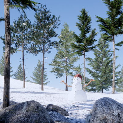 Cedar conifer landscape tree