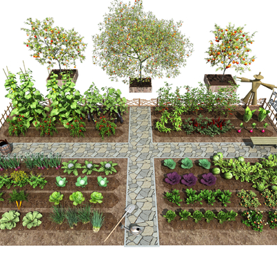 Modern vegetable garden vegetable garden