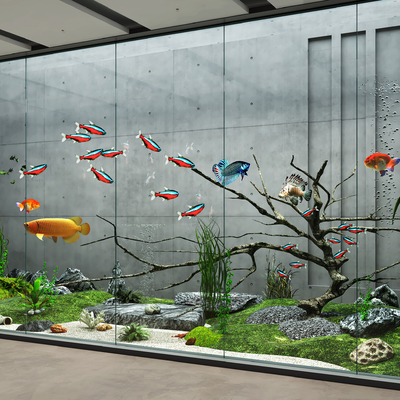 Fish Tank Aquarium