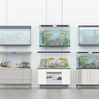 Fish tank aquarium