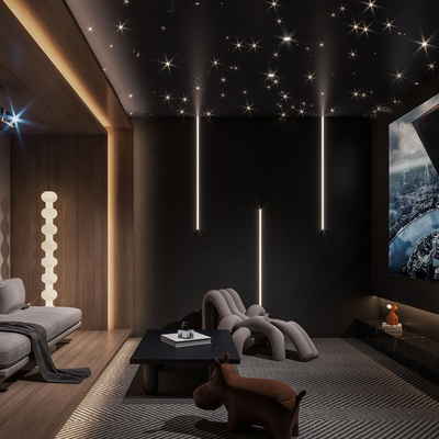 modern video room