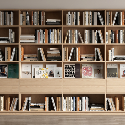 Modern Bookcase Books