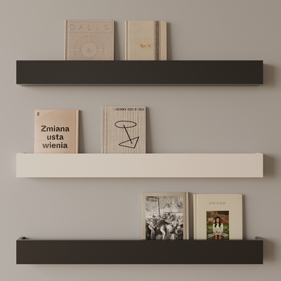 Wall Cabinet Shelf Books