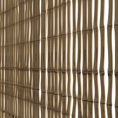 Bamboo Fence