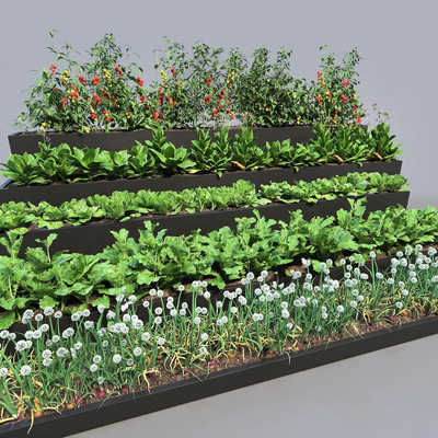 Modern Crop Vegetable Pits