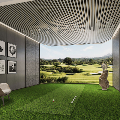 Recreation Room Golf Room