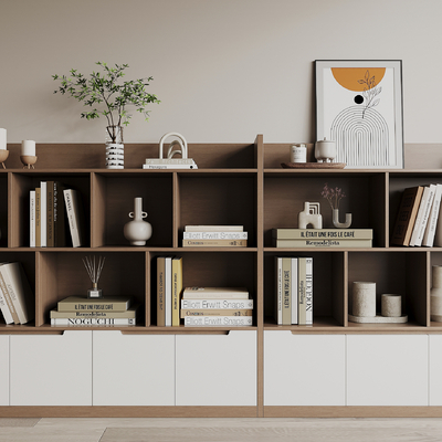 Modern Bookcase Locker