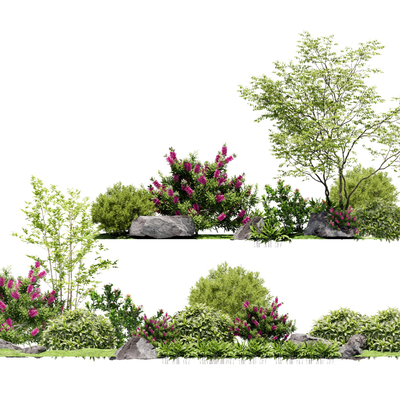 Landscape Shrubs Shrubs