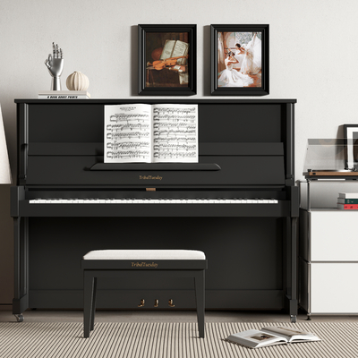 Modern Paint Piano