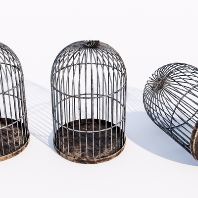 Modern Old Iron Cage Birdcage