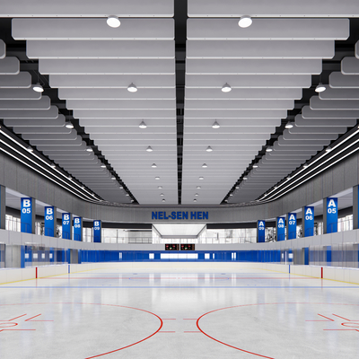 Modern Ice Hockey Rink