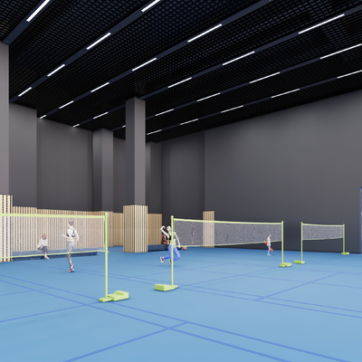 Modern Gymnasium Badminton Court