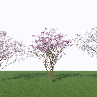 arbor flower tree