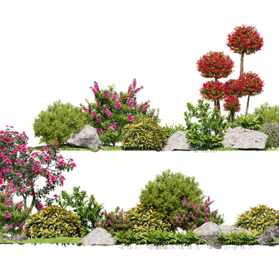 Landscape shrubs