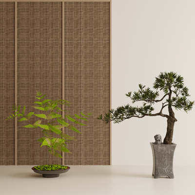 New Chinese Bonsai