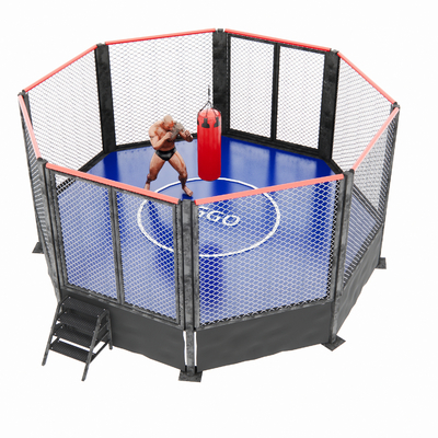 Boxing gym ring sandbag