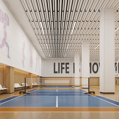 Modern Badminton Hall Basketball Hall