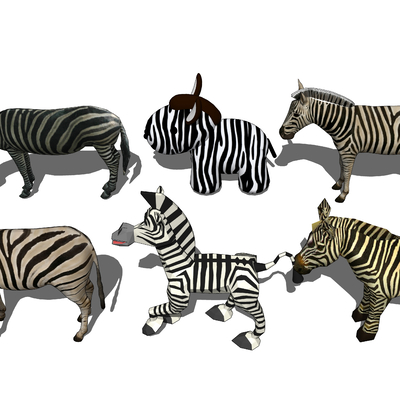 zebra animal