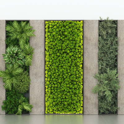 Moss wall plant wall modeling wall